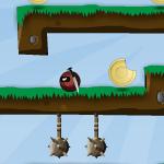 닌자 네버 다이