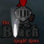 블랙나이트 라이시즈