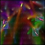 파이어 워크 아웃