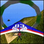 행글라이딩 레이싱