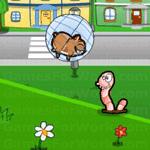 다운힐 햄스터볼