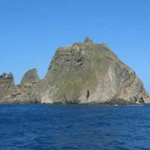 [F] [학교제출]【독도를 지키자-!】