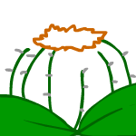 선인장꽃 이야기