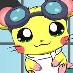 햄타로 옷입히기