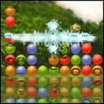 서바이벌 사모아