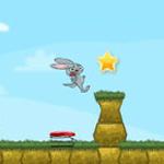 토끼는 어디에?