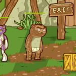 부러러 베어 아레나