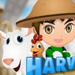 하베스트 스토리