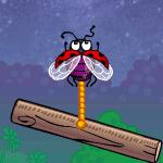 나이트플라이즈