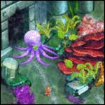 아일랜드 트라이브5