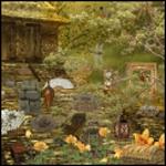 미스테리 플레이스