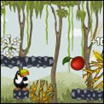 토우칸 인더 정글