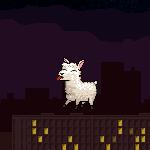 라마 인유어페이스