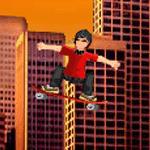 스케이트 매니아