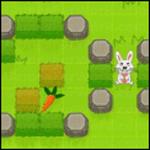 숏 레그스 원트 래빗