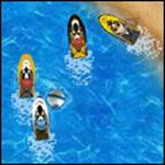 제트 스키 레이싱