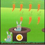 어메이징 플라잉 래빗