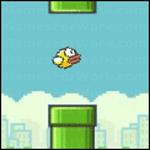 플래시 플러피 버드