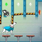 도그스 인 스페이스