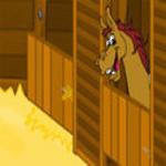 당나귀 탈출하기